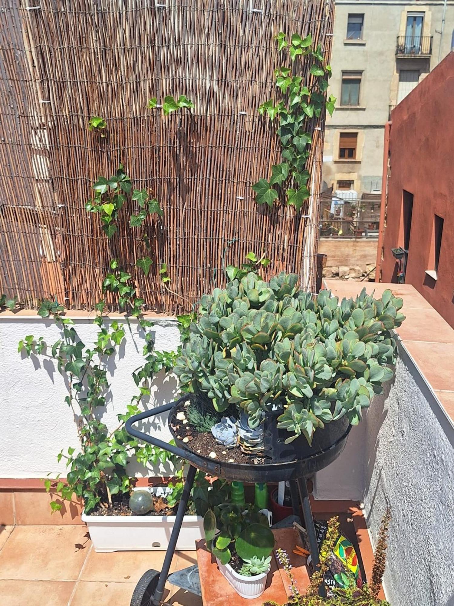 Apartmán El Terrat De La Tecla - Duplex Casc Antic Tarragona Exteriér fotografie