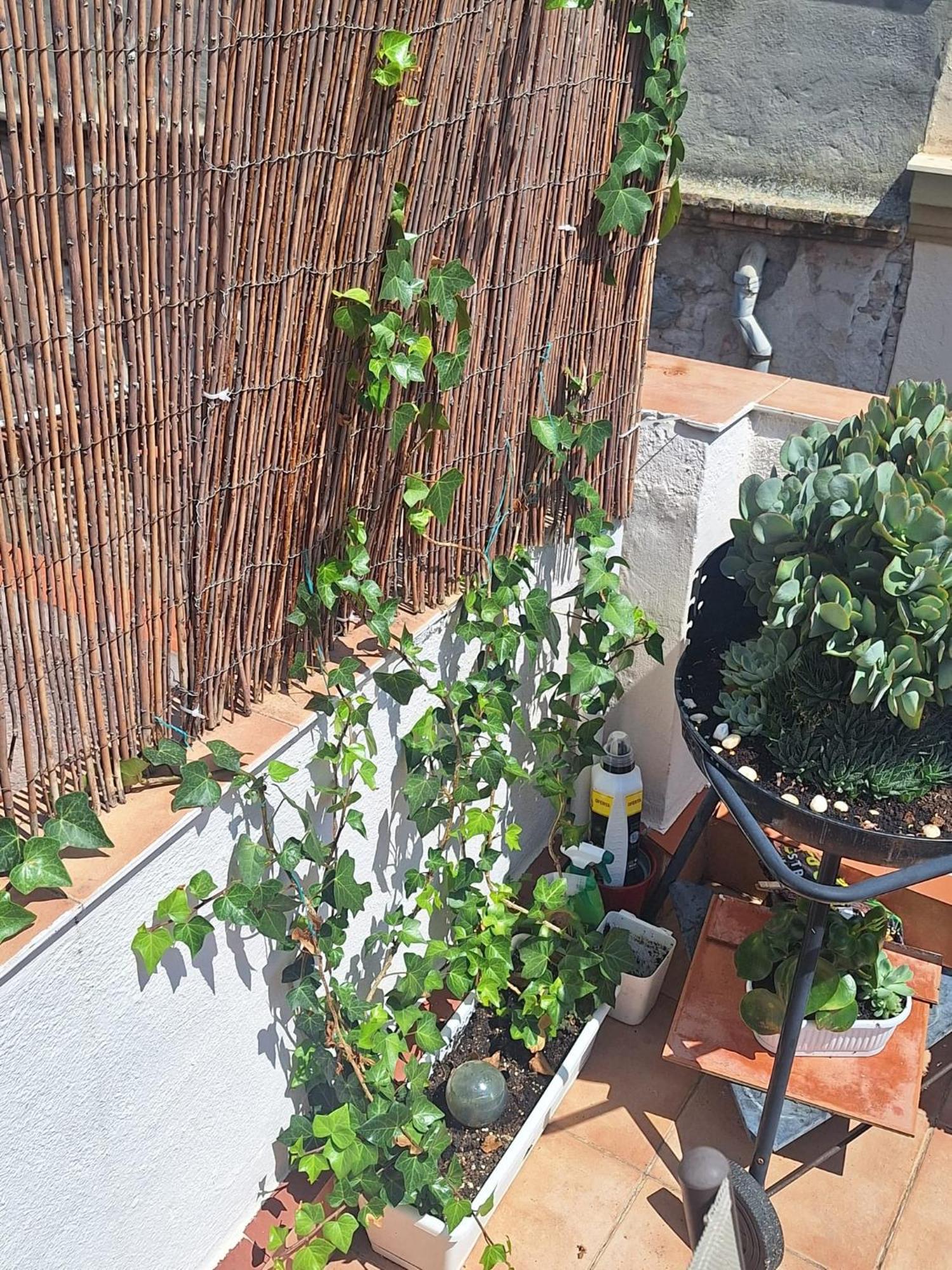 Apartmán El Terrat De La Tecla - Duplex Casc Antic Tarragona Exteriér fotografie